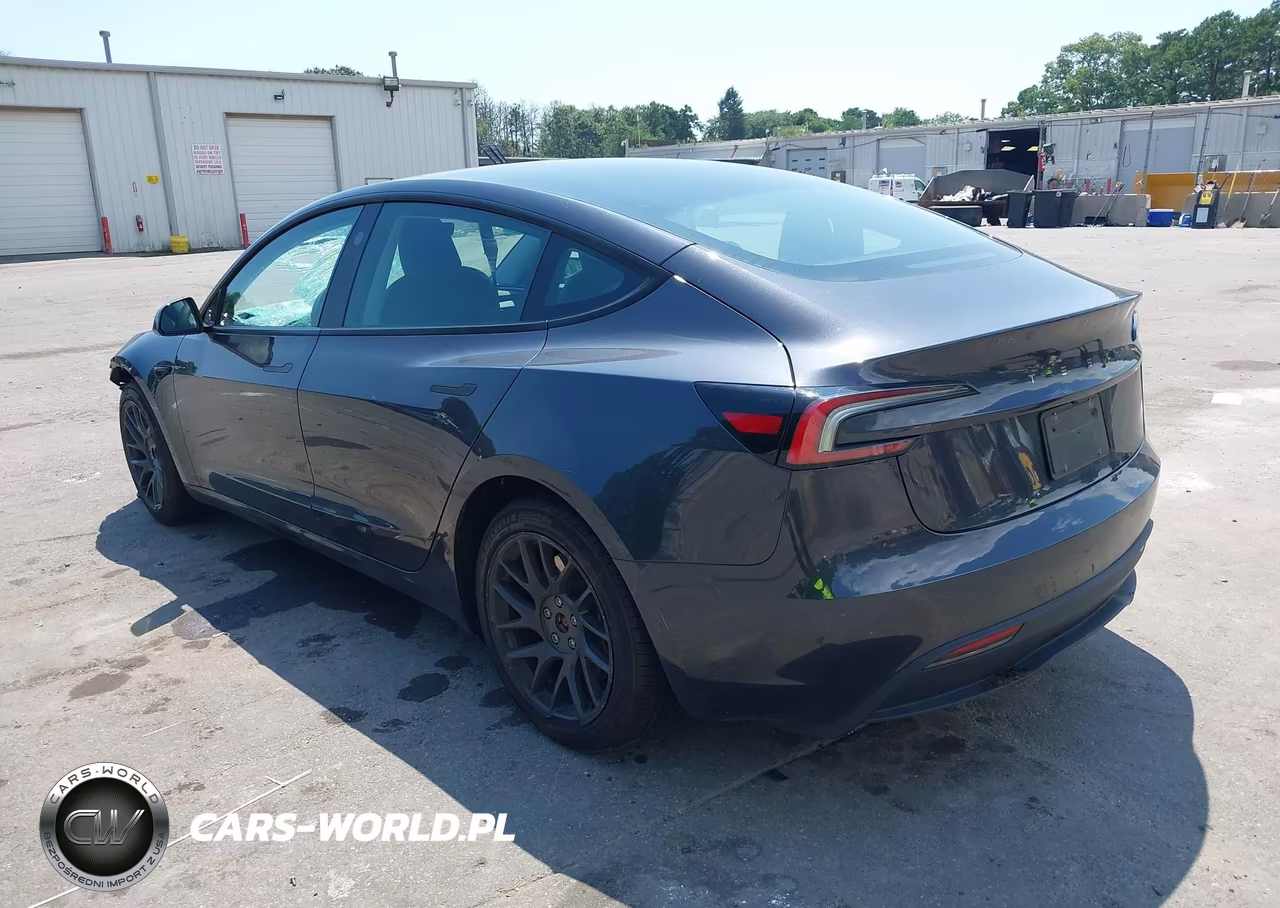 2025 Tesla Model 3 Long Range Rear-Wheel Drive-Standard Rear-Wheel Drive VIN:5YJ3E1EA6SF917079 - 3