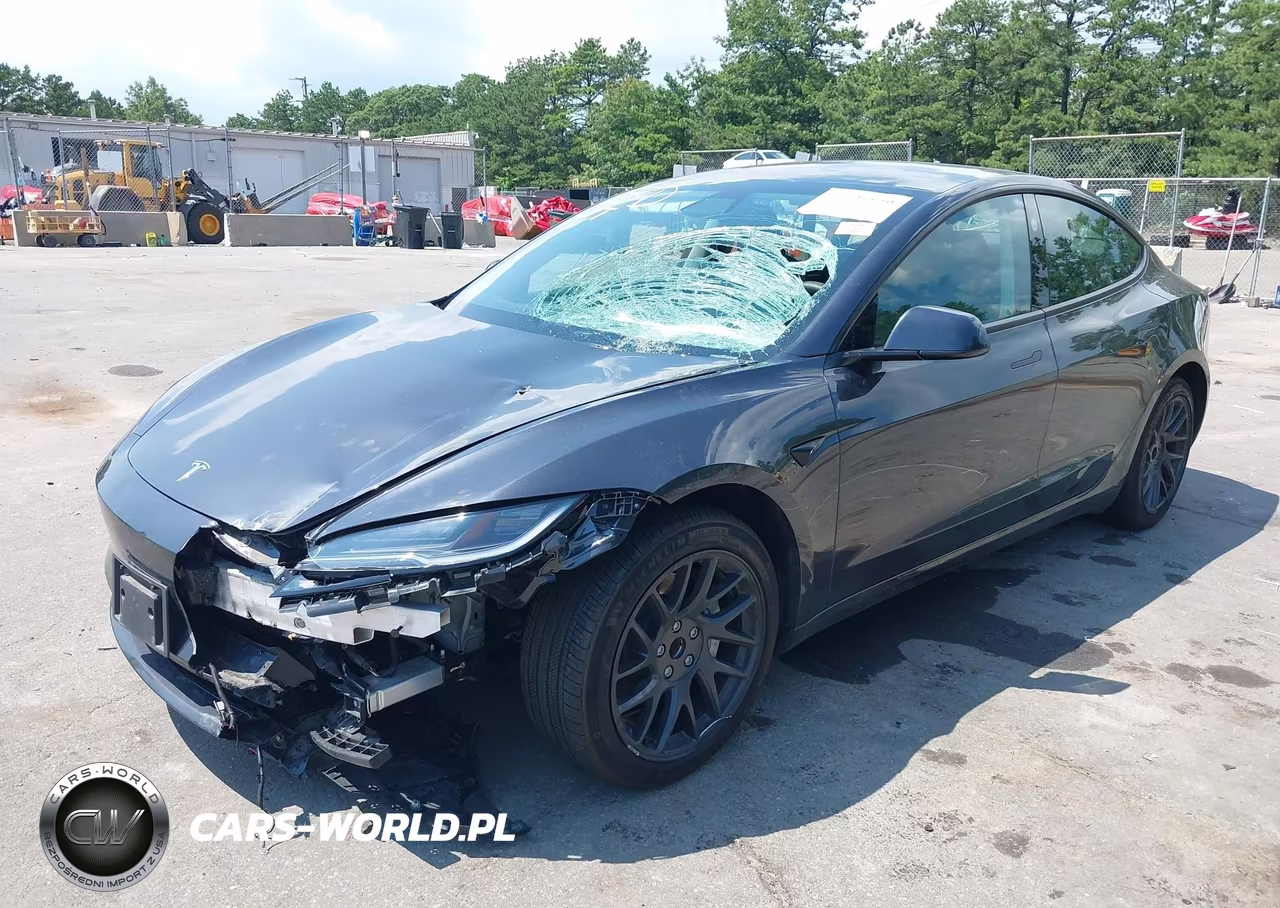 2025 Tesla Model 3 Long Range Rear-Wheel Drive-Standard Rear-Wheel Drive VIN:5YJ3E1EA6SF917079 - 6