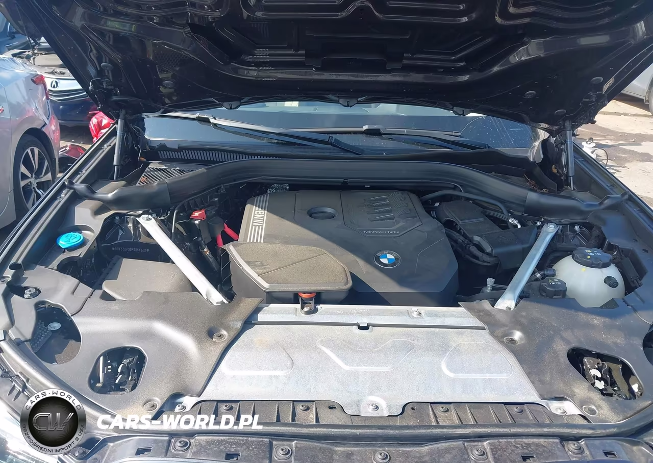 2023 BMW X3 xDrive30I VIN:5UX53DP09P9R64448 - 10