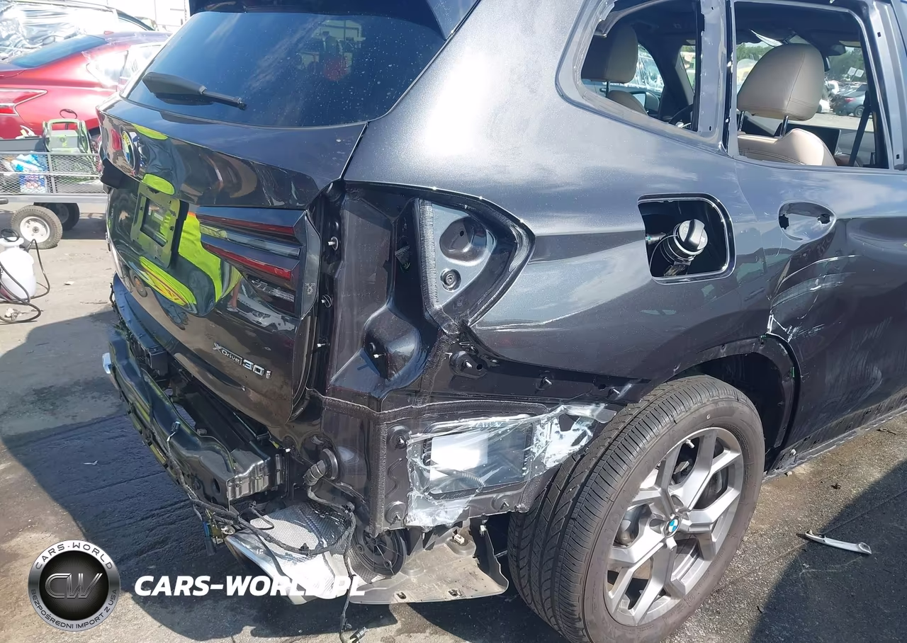 2023 BMW X3 xDrive30I VIN:5UX53DP09P9R64448 - 6