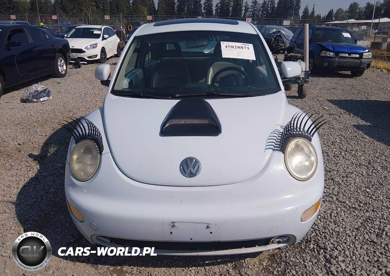 2000 Volkswagen New Beetle Gls VIN:3VWCA21C4YM484954 - 13