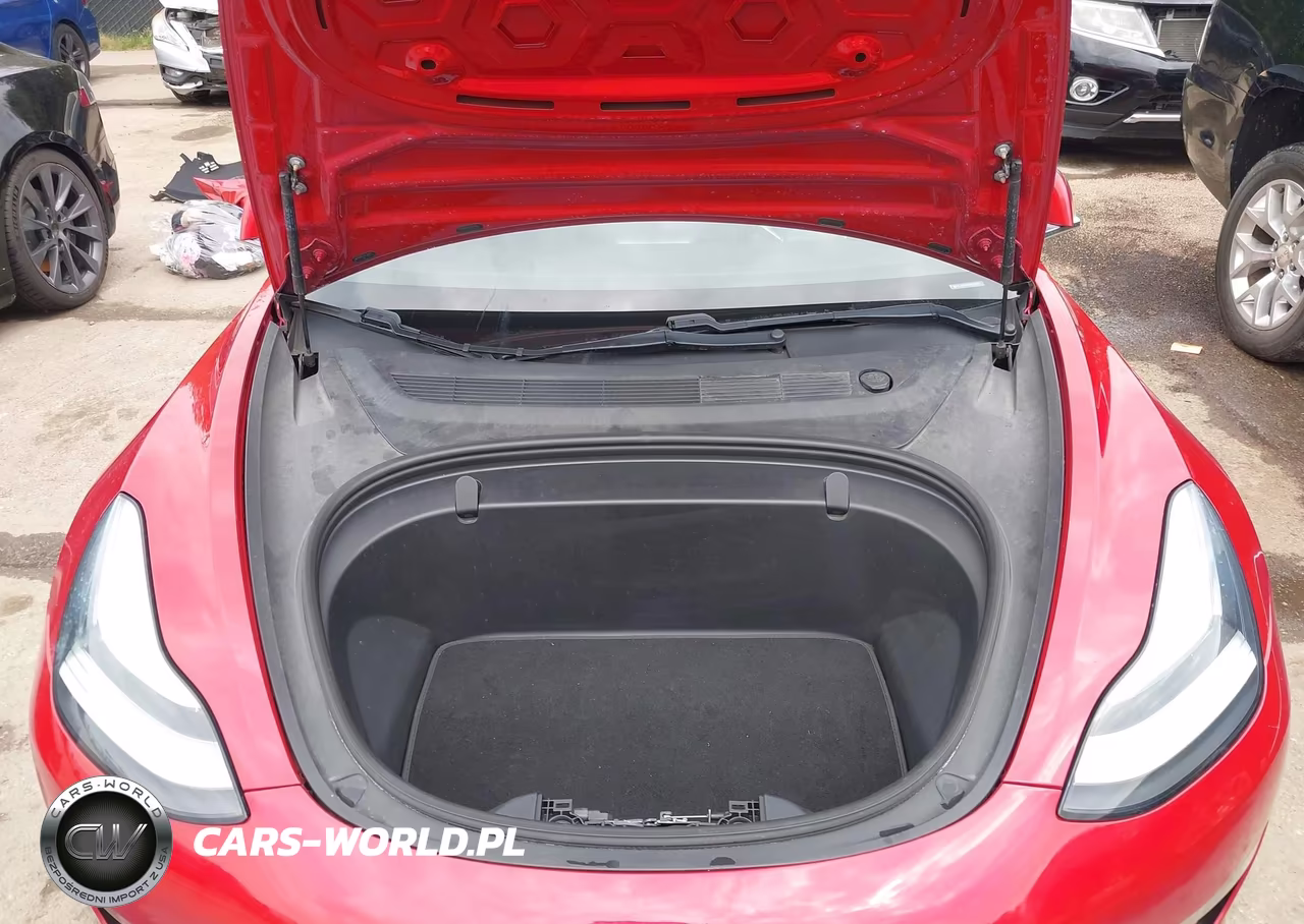 2019 Tesla Model 3 Long Range-Mid Range-Standard Range-Standard Range Plus VIN:5YJ3E1EA6KF307084 - 10