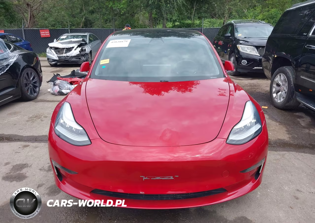 2019 Tesla Model 3 Long Range-Mid Range-Standard Range-Standard Range Plus VIN:5YJ3E1EA6KF307084 - 13