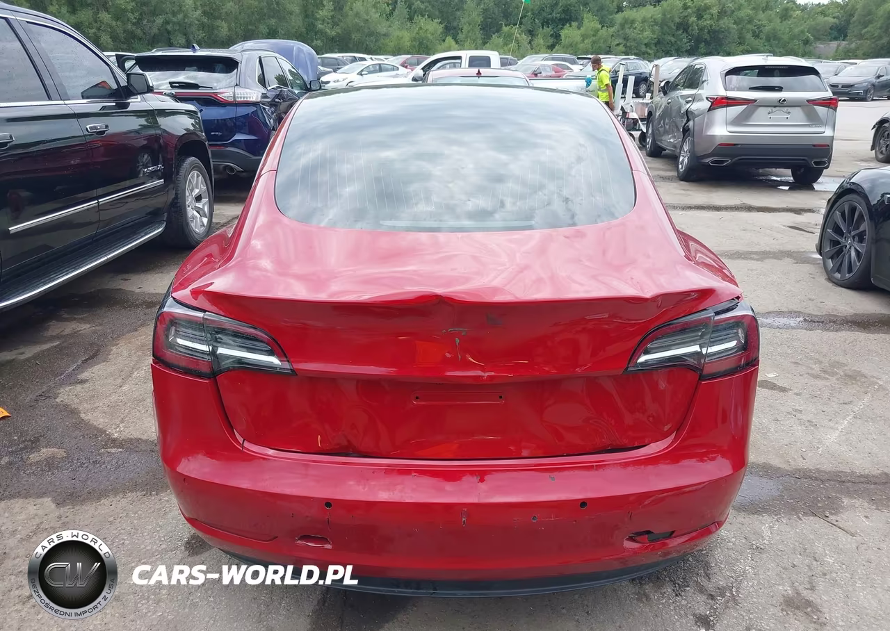 2019 Tesla Model 3 Long Range-Mid Range-Standard Range-Standard Range Plus VIN:5YJ3E1EA6KF307084 - 17