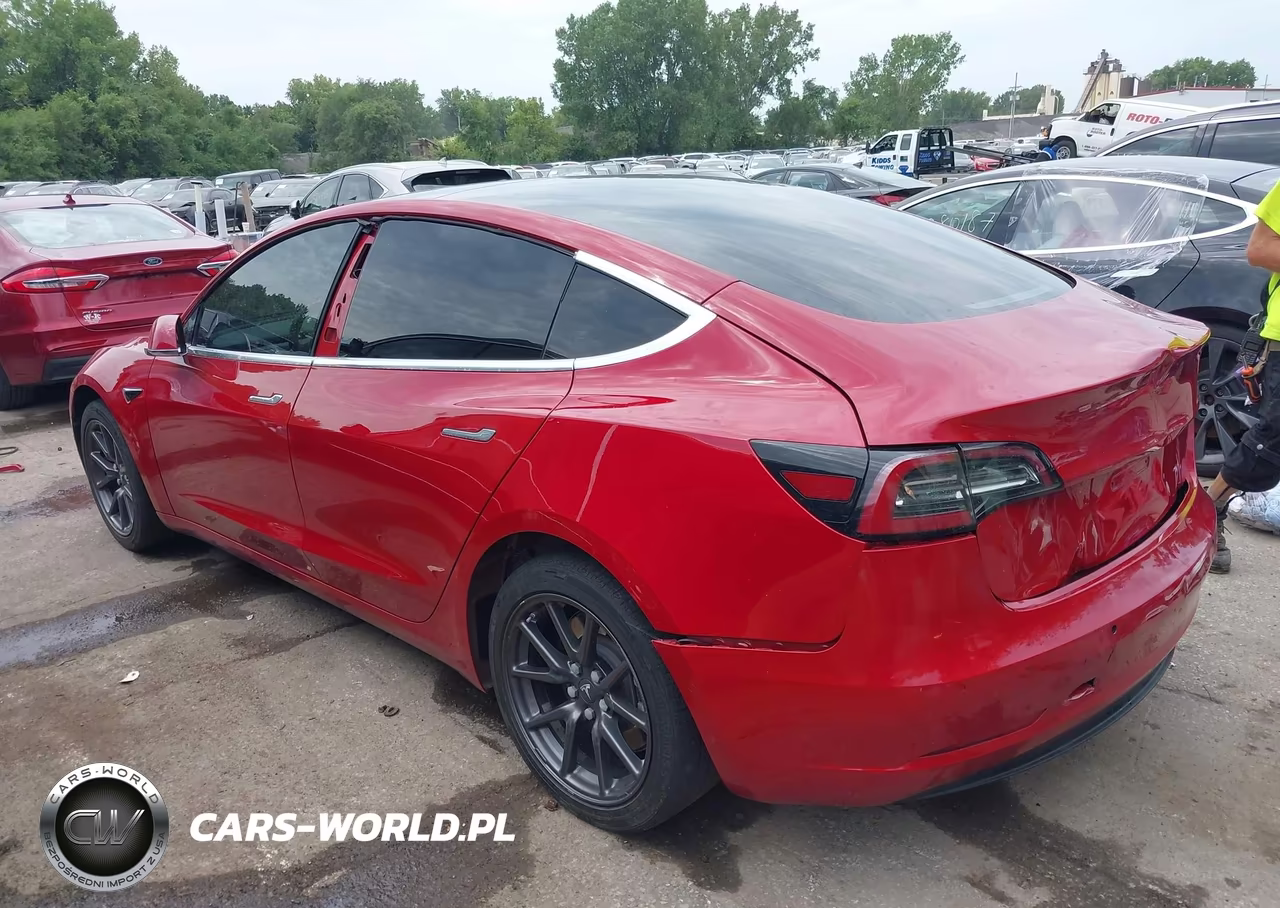 2019 Tesla Model 3 Long Range-Mid Range-Standard Range-Standard Range Plus VIN:5YJ3E1EA6KF307084 - 3