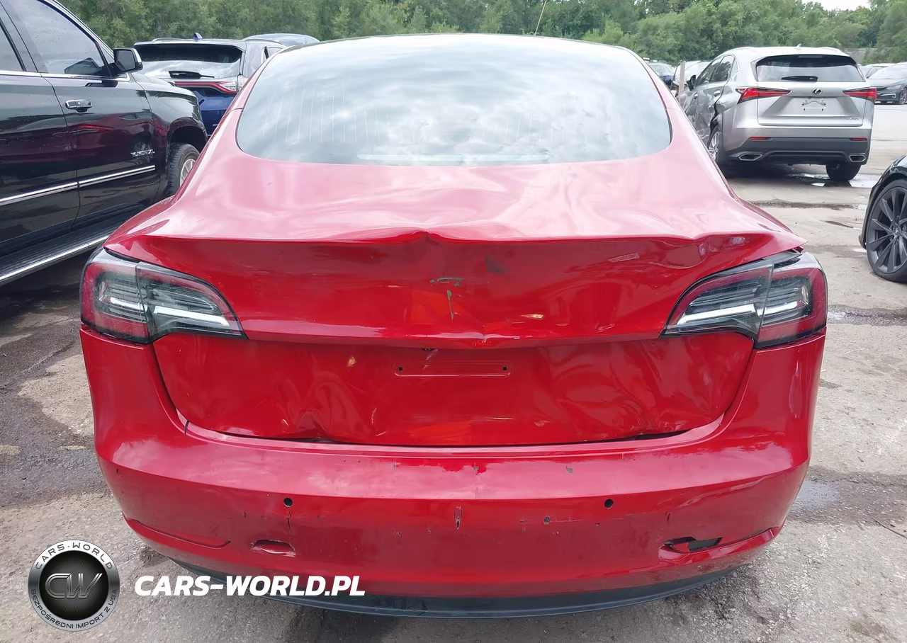 2019 Tesla Model 3 Long Range-Mid Range-Standard Range-Standard Range Plus VIN:5YJ3E1EA6KF307084 - 6