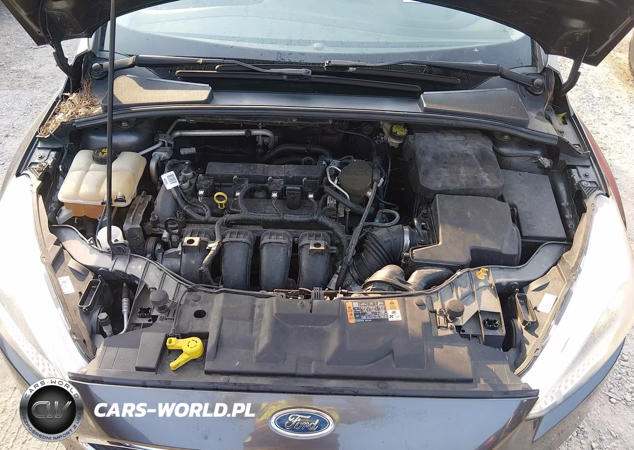 2015 Ford Focus Se VIN:1FADP3F25FL290076 - 10