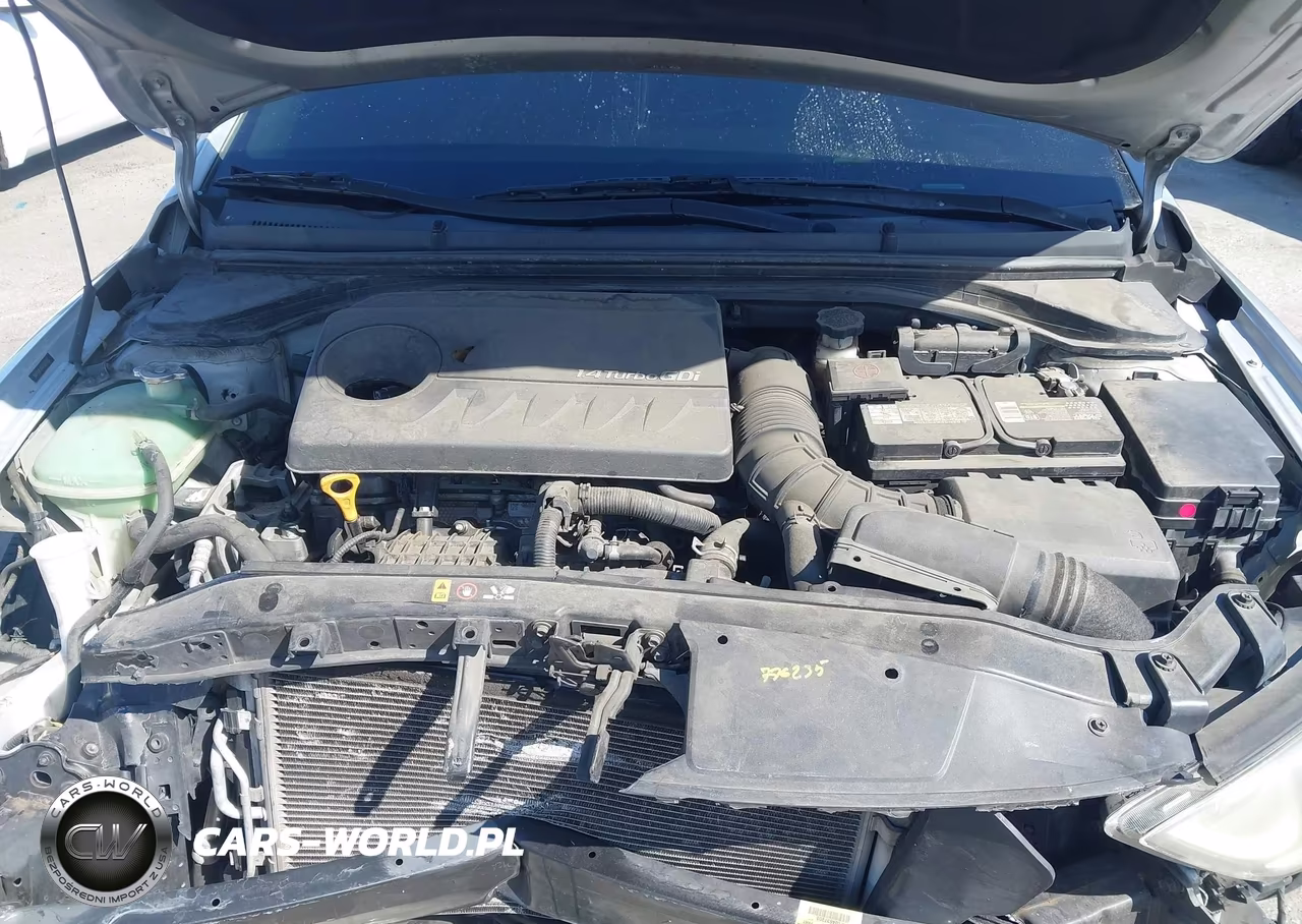 2018 Hyundai Elantra Eco VIN:5NPD94LA0JH307336 - 10
