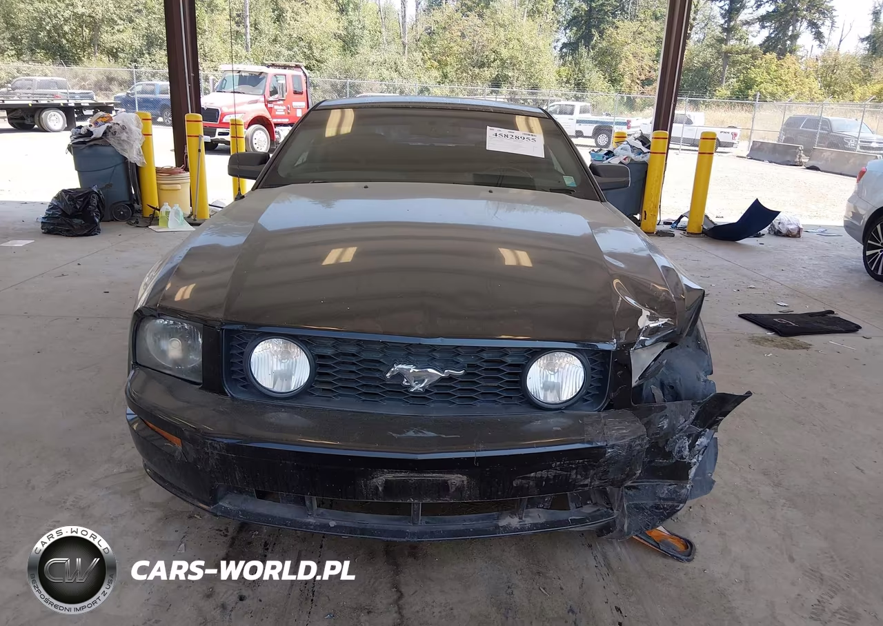 2008 Ford Mustang Gt Deluxe-Gt Premium VIN:1ZVHT82H585165968 - 12