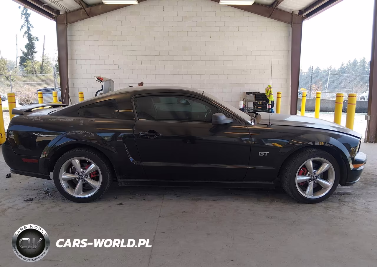 2008 Ford Mustang Gt Deluxe-Gt Premium VIN:1ZVHT82H585165968 - 13