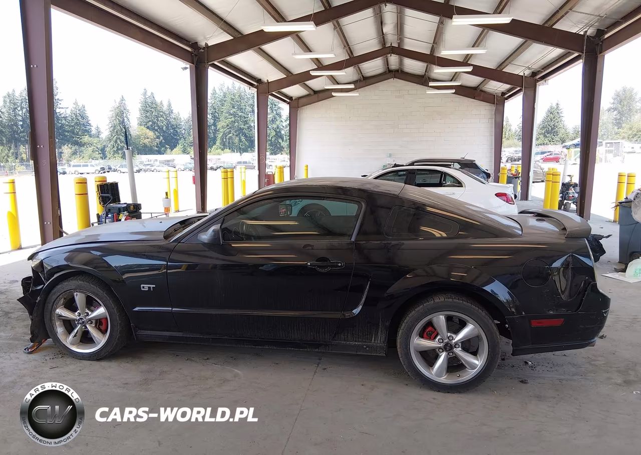 2008 Ford Mustang Gt Deluxe-Gt Premium VIN:1ZVHT82H585165968 - 14