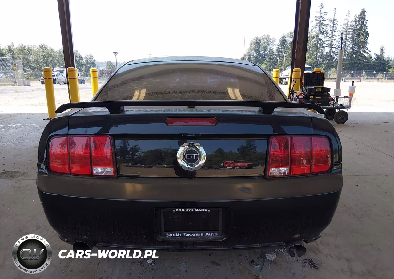 2008 Ford Mustang Gt Deluxe-Gt Premium VIN:1ZVHT82H585165968 - 16
