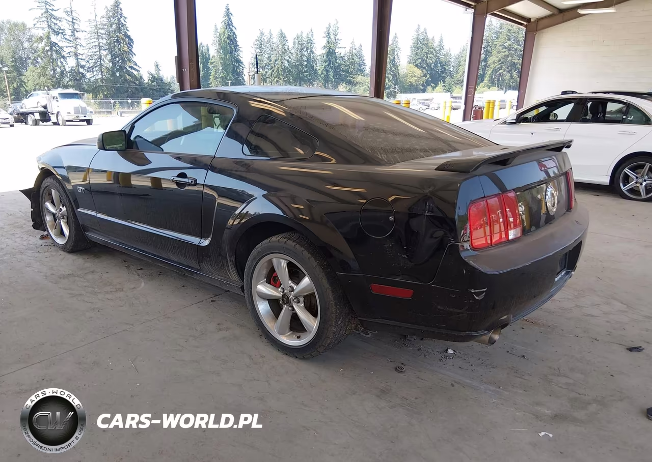 2008 Ford Mustang Gt Deluxe-Gt Premium VIN:1ZVHT82H585165968 - 3