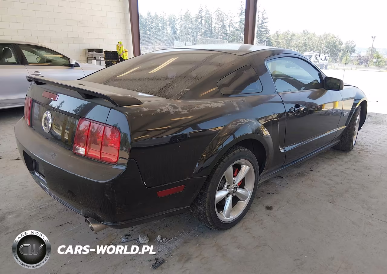 2008 Ford Mustang Gt Deluxe-Gt Premium VIN:1ZVHT82H585165968 - 4