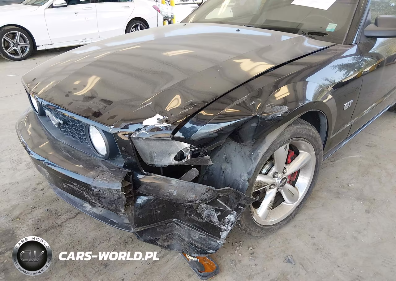 2008 Ford Mustang Gt Deluxe-Gt Premium VIN:1ZVHT82H585165968 - 6