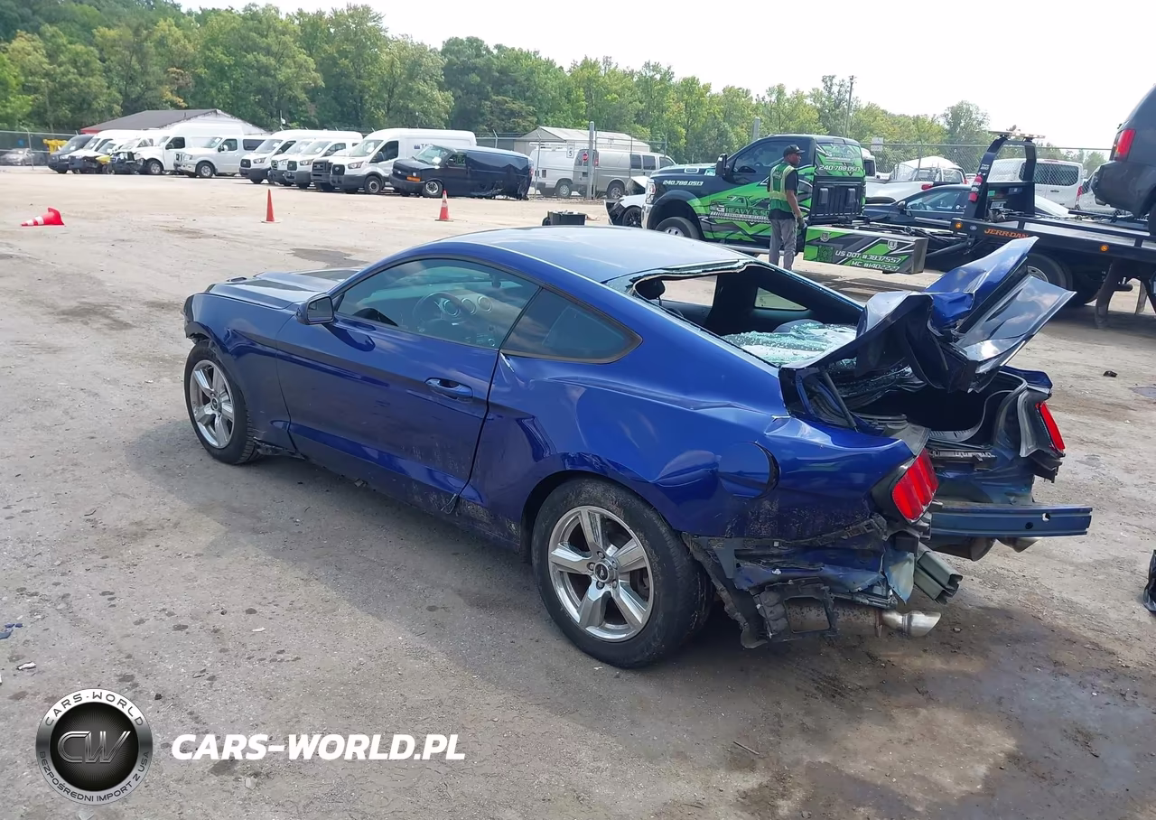 2016 Ford Mustang V6 VIN:1FA6P8AM4G5288890 - 3
