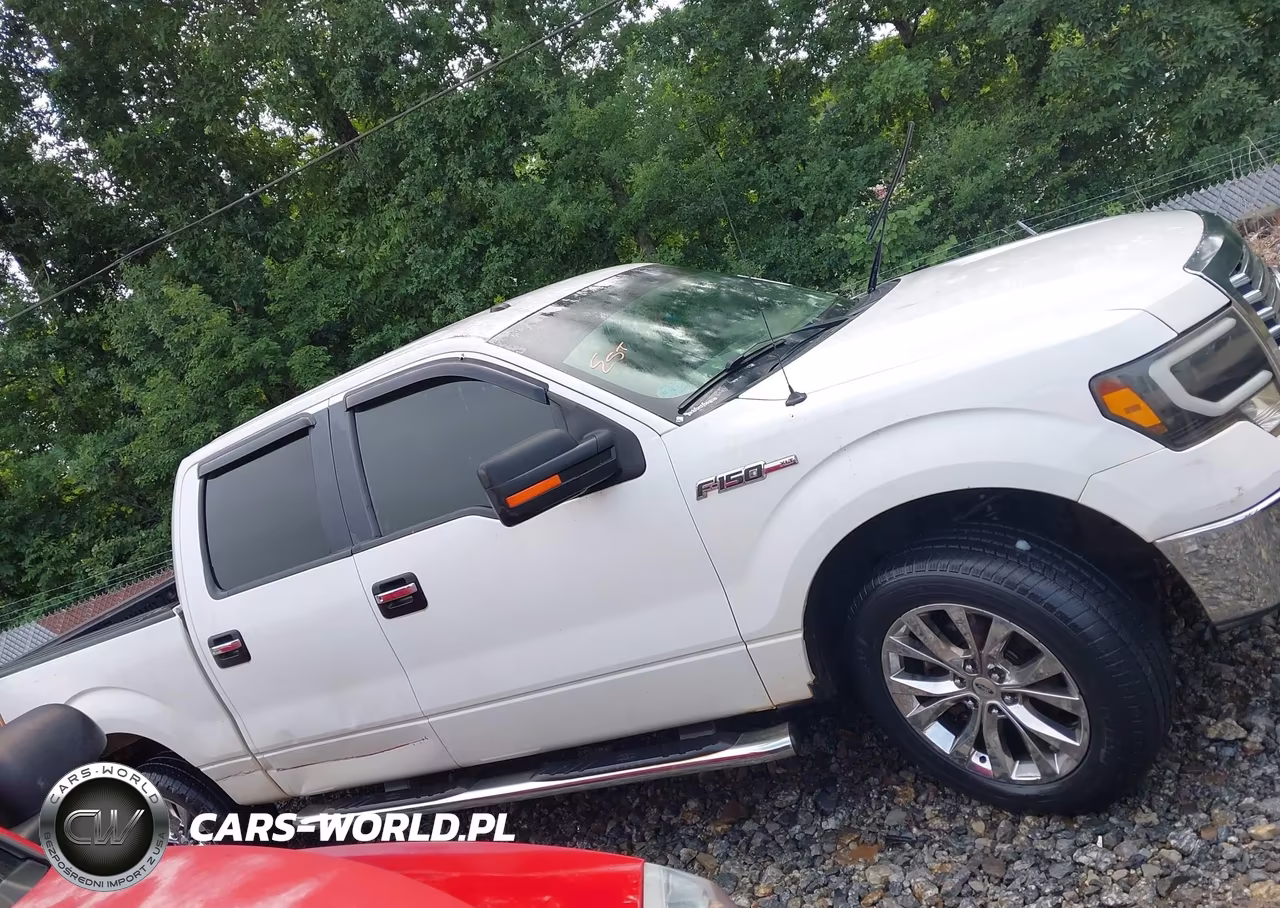 FORD F-150 VIN:1FTFW1CF9CFA53053 - 13