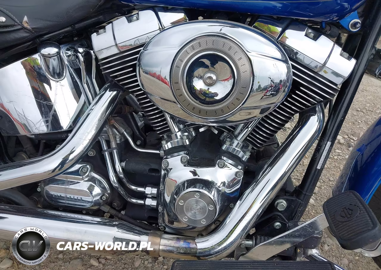 2008 Harley-Davidson Flstc VIN:1HD1BW5148Y018760 - 8