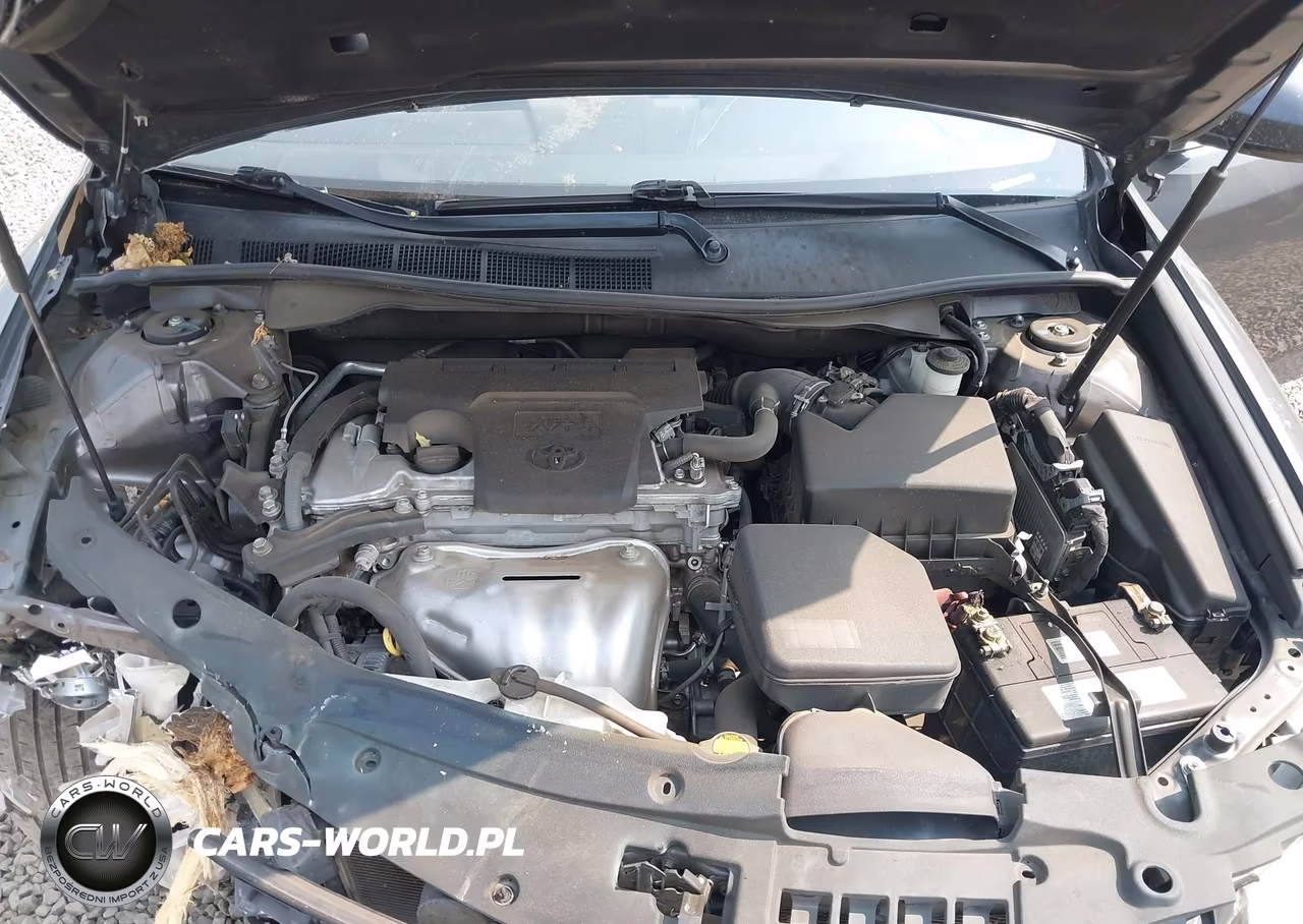 2014 Toyota Camry Se VIN:4T1BF1FK0EU344798 - 10