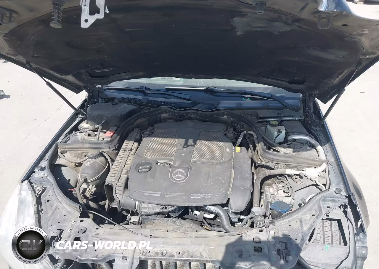 2013 Mercedes-Benz E 350 VIN:WDDKJ5KB4DF204410 - 10