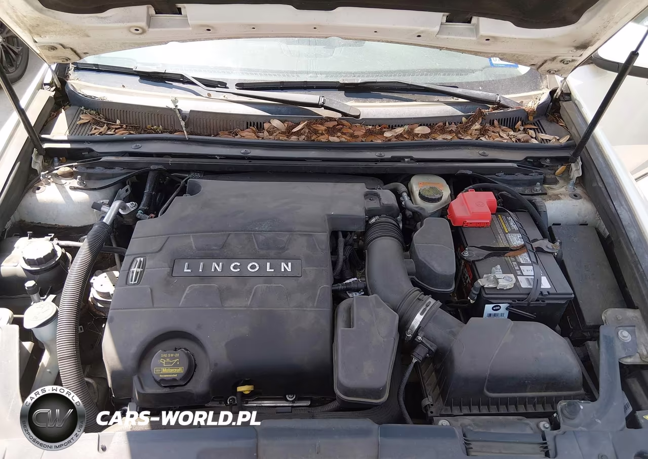 2013 Lincoln Mks VIN:1LNHL9DK9DG618260 - 10