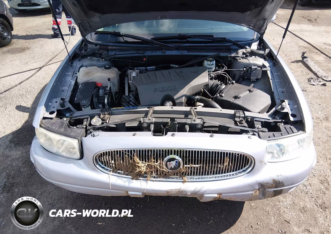 2004 Buick Lesabre Limited VIN:1G4HR54K64U223123 - 10