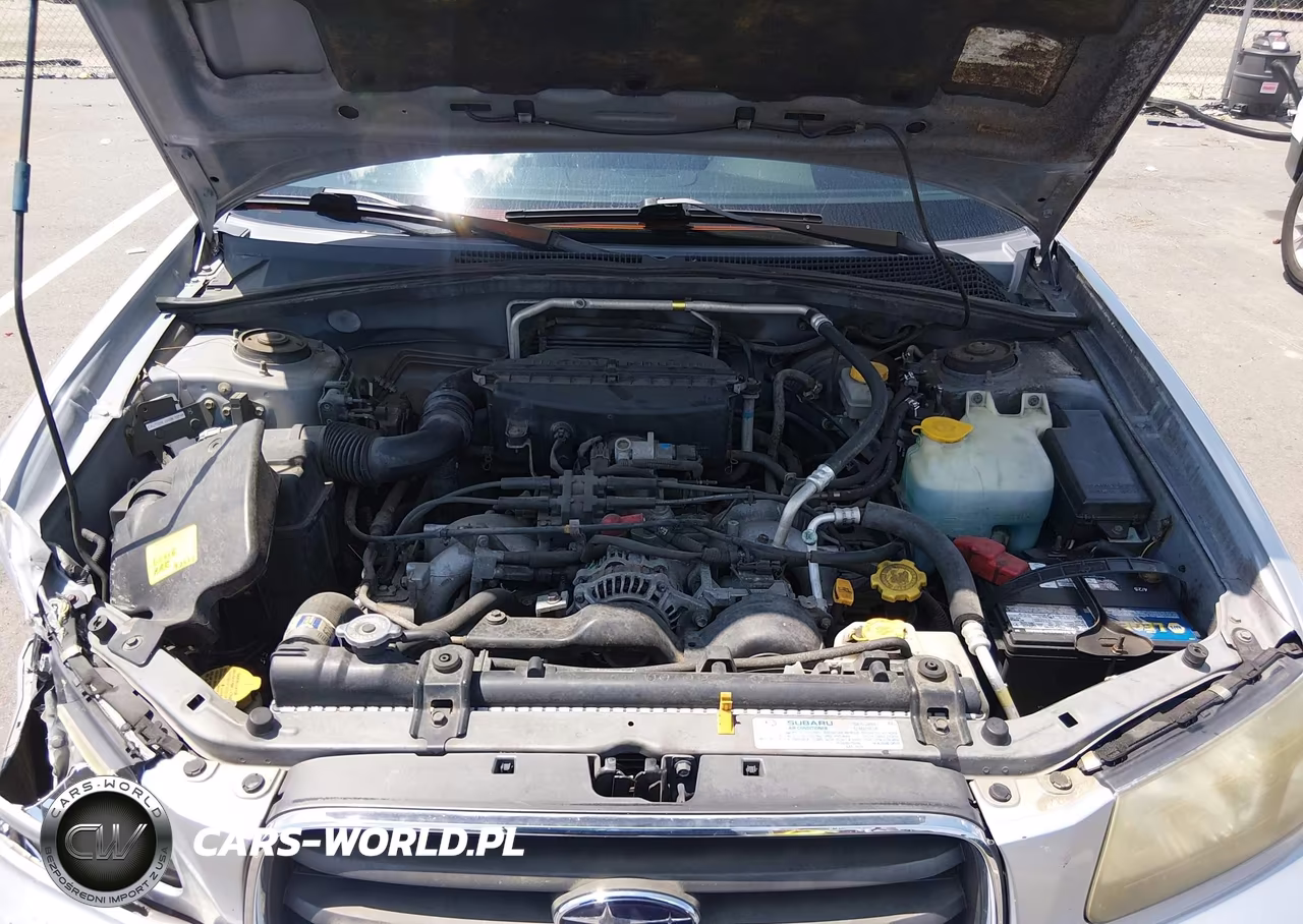2003 Subaru Forester Xs VIN:JF1SG65663H744783 - 10