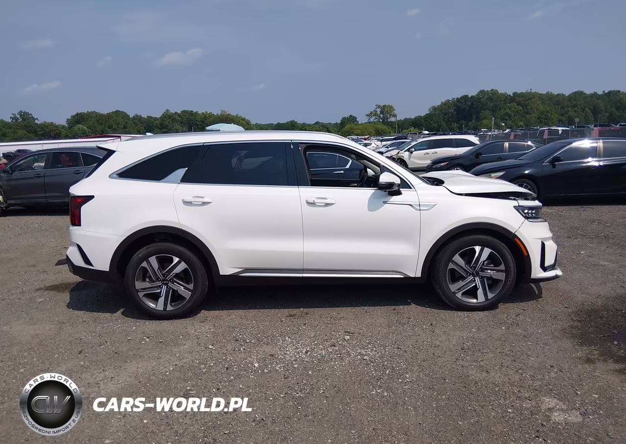 2023 Kia Sorento Hybrid Sx Prestige VIN:KNDRMDLG3P5139242 - 13