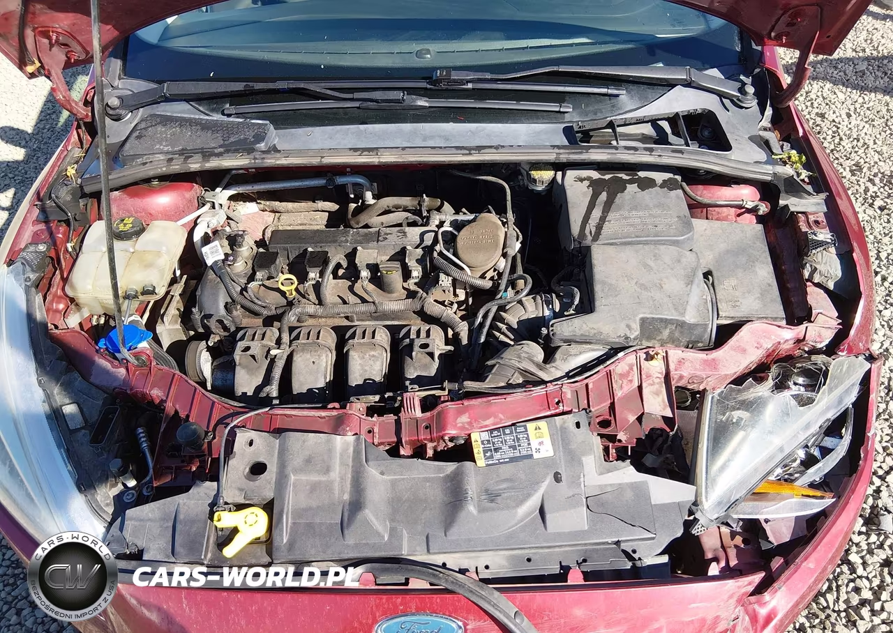 2015 Ford Focus Se VIN:1FADP3K2XFL256673 - 10