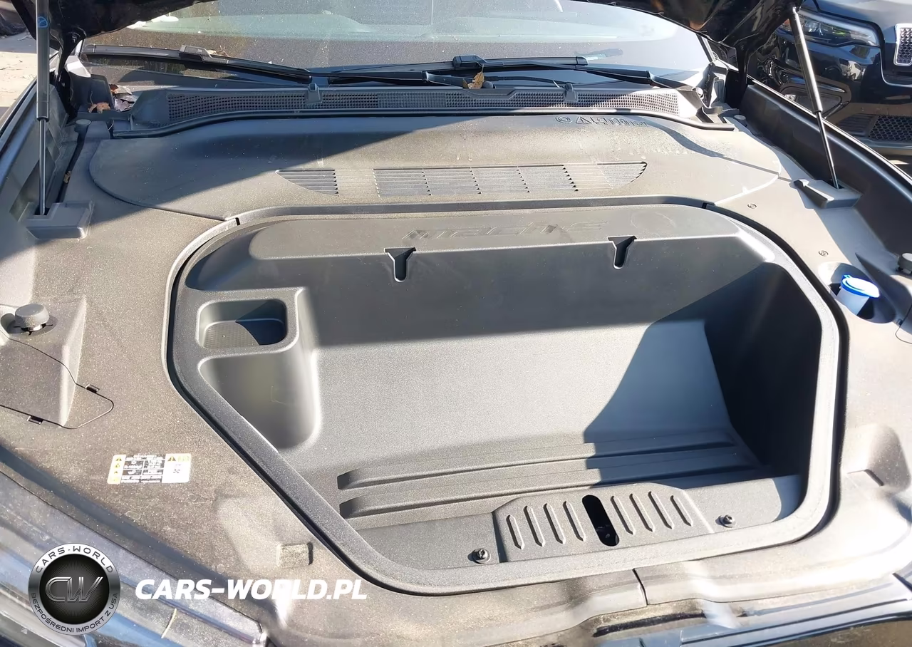 2025 Ford Mustang Mach-E Premium VIN:3FMTK3R76SMA18636 - 10