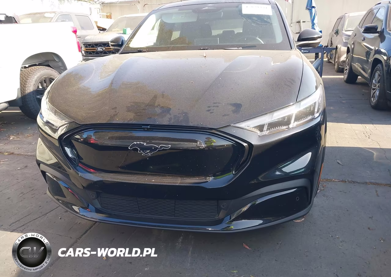2025 Ford Mustang Mach-E Premium VIN:3FMTK3R76SMA18636 - 12