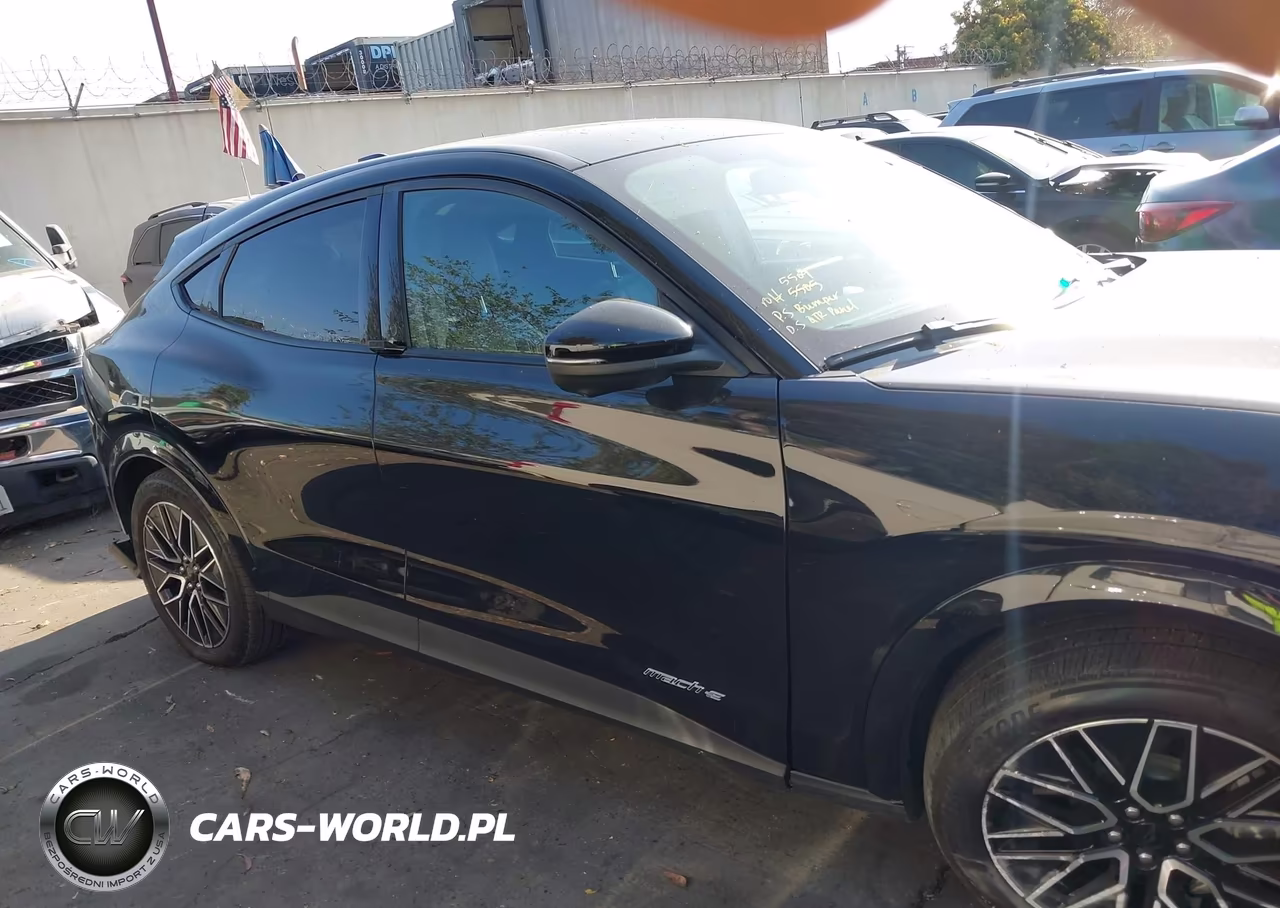 2025 Ford Mustang Mach-E Premium VIN:3FMTK3R76SMA18636 - 13