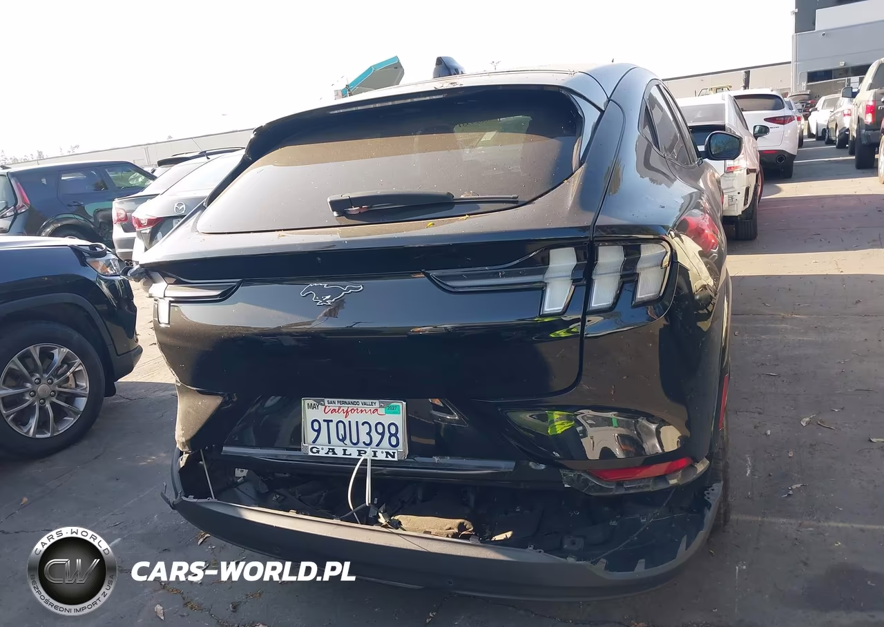 2025 Ford Mustang Mach-E Premium VIN:3FMTK3R76SMA18636 - 16