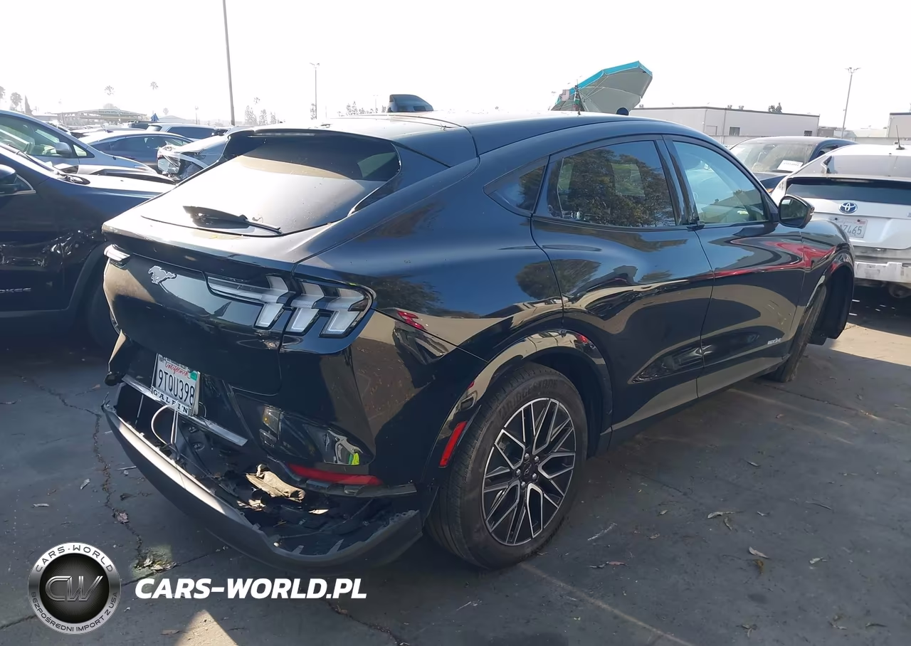 2025 Ford Mustang Mach-E Premium VIN:3FMTK3R76SMA18636 - 4