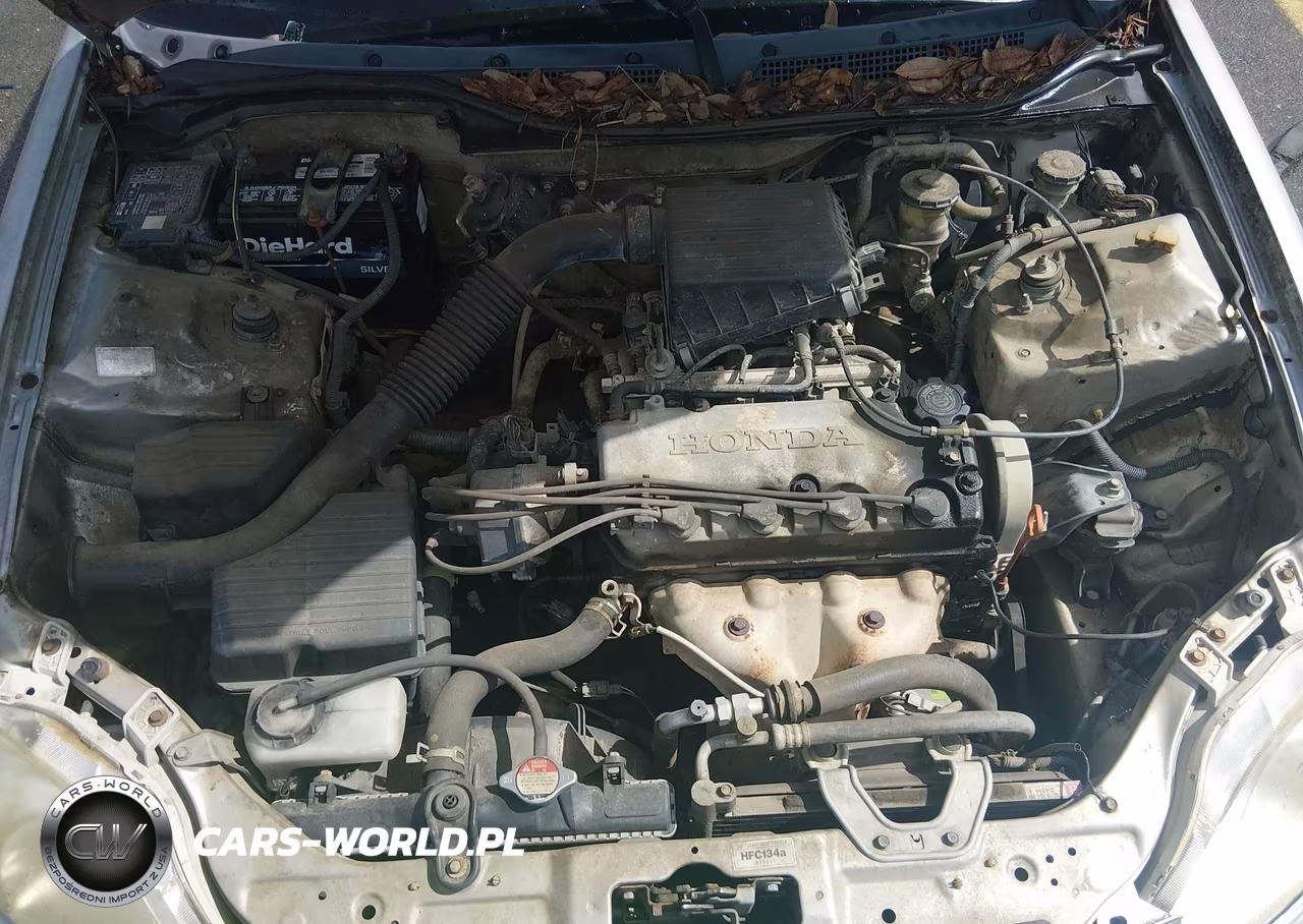 1996 Honda Civic Dx VIN:1HGEJ6125TL087095 - 10