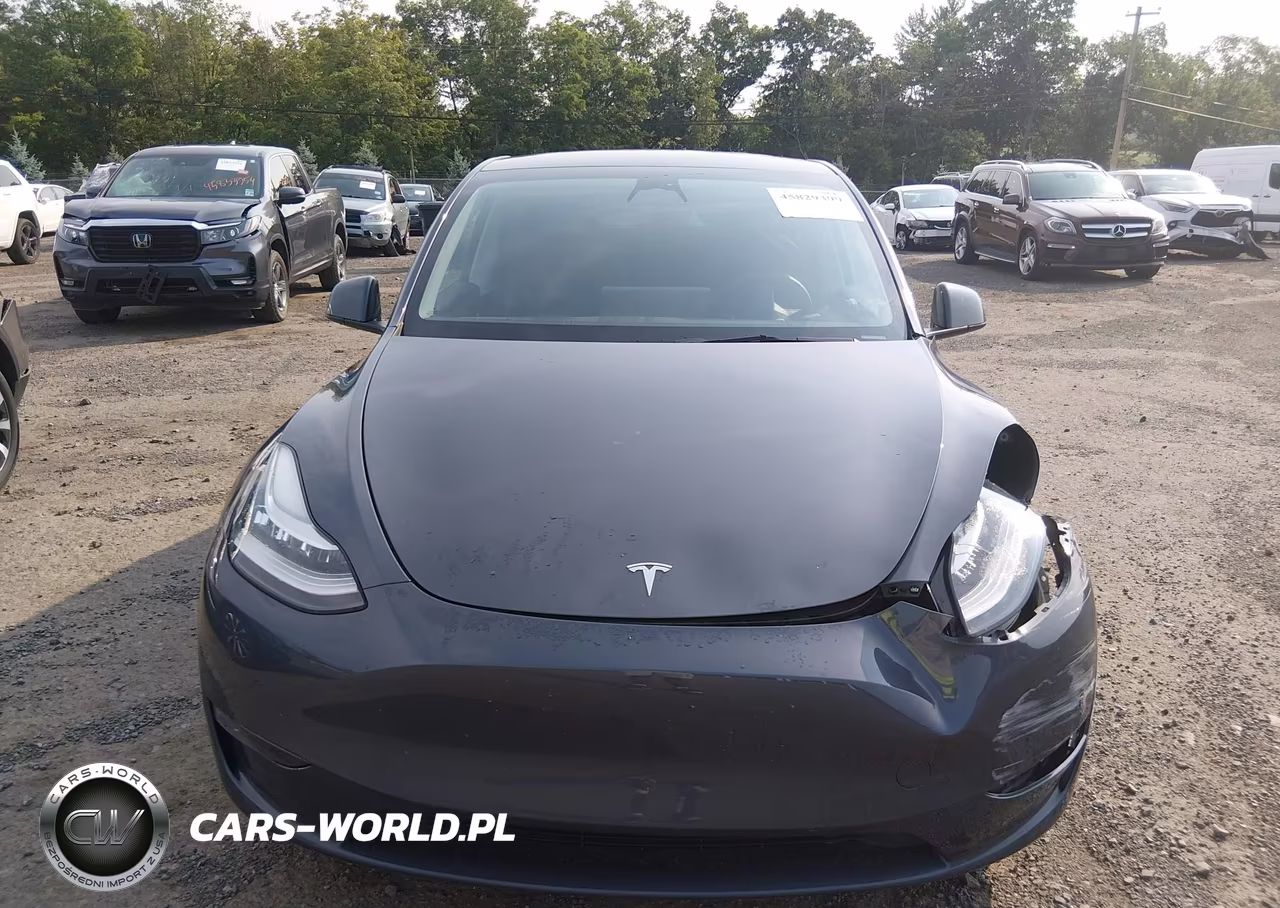 2023 Tesla Model Y Awd-Long Range Dual Motor All-Wheel Drive VIN:7SAYGDEE2PA061162 - 12