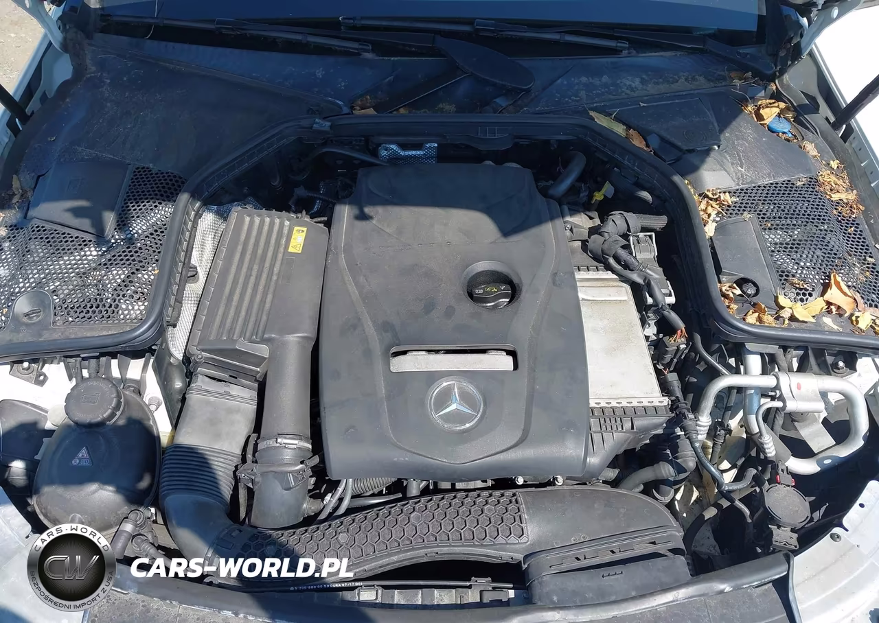 2017 Mercedes-Benz C 300 4Matic VIN:55SWF4KB2HU224039 - 10