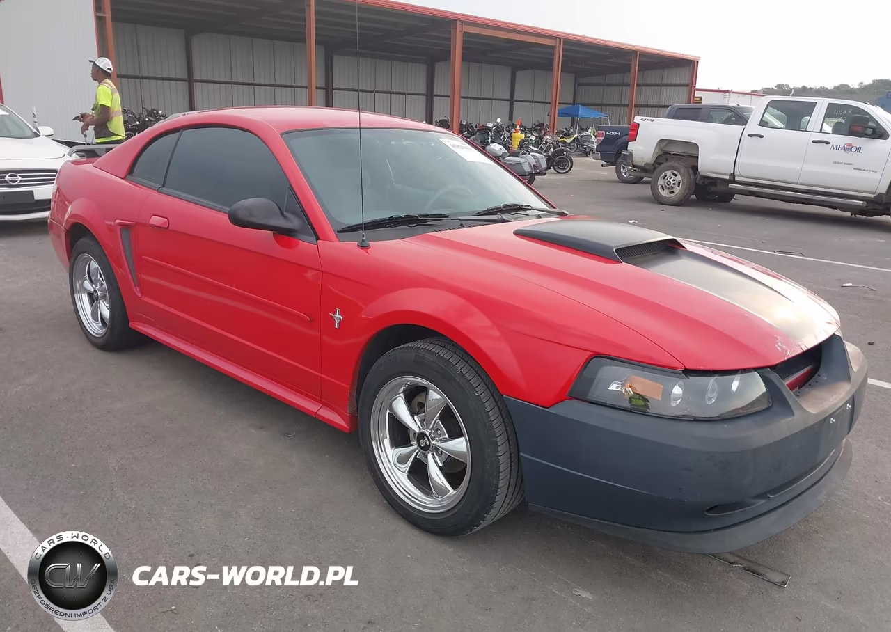 2002 Ford Mustang Deluxe-Premium-Standard