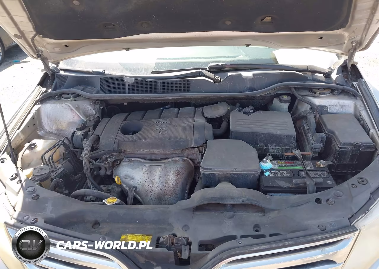 2010 Toyota Venza VIN:4T3ZA3BB7AU024846 - 10