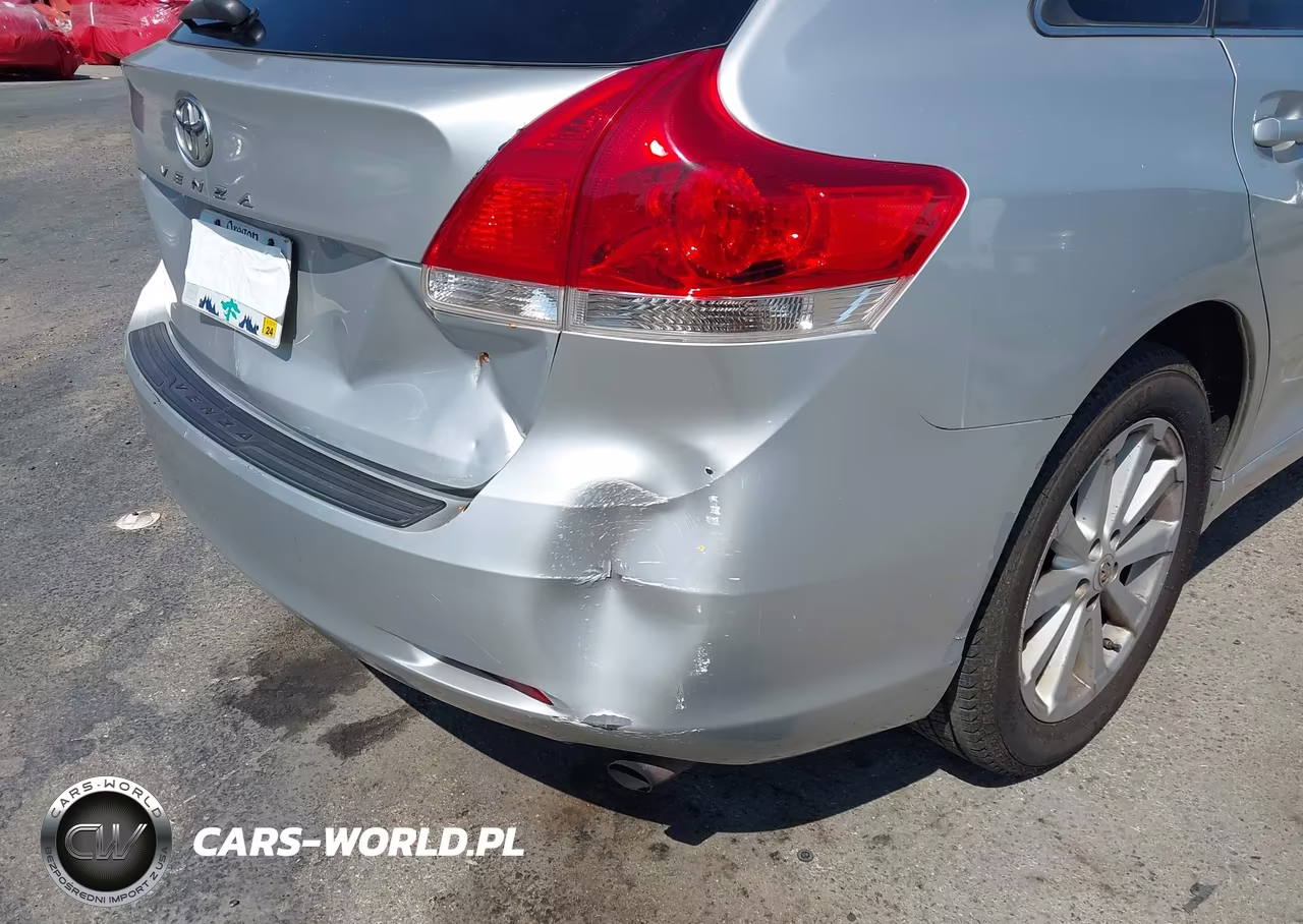 2010 Toyota Venza VIN:4T3ZA3BB7AU024846 - 6