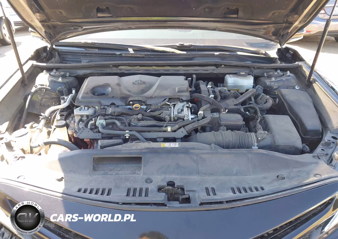 2020 Toyota Camry Se Hybrid VIN:4T1J31AK8LU542988 - 10