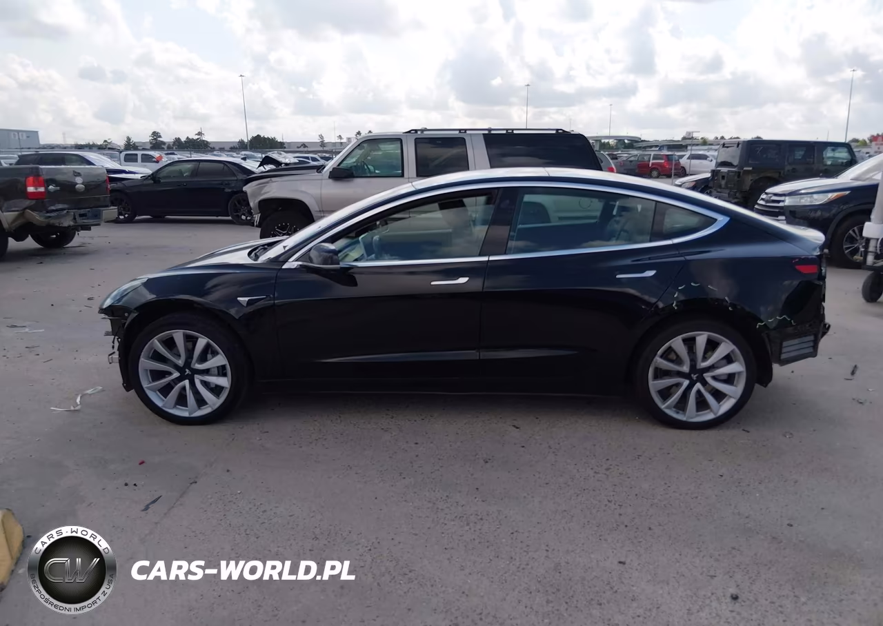 2019 Tesla Model 3 Long Range-Mid Range-Standard Range-Standard Range Plus VIN:5YJ3E1EA0KF412543 - 14