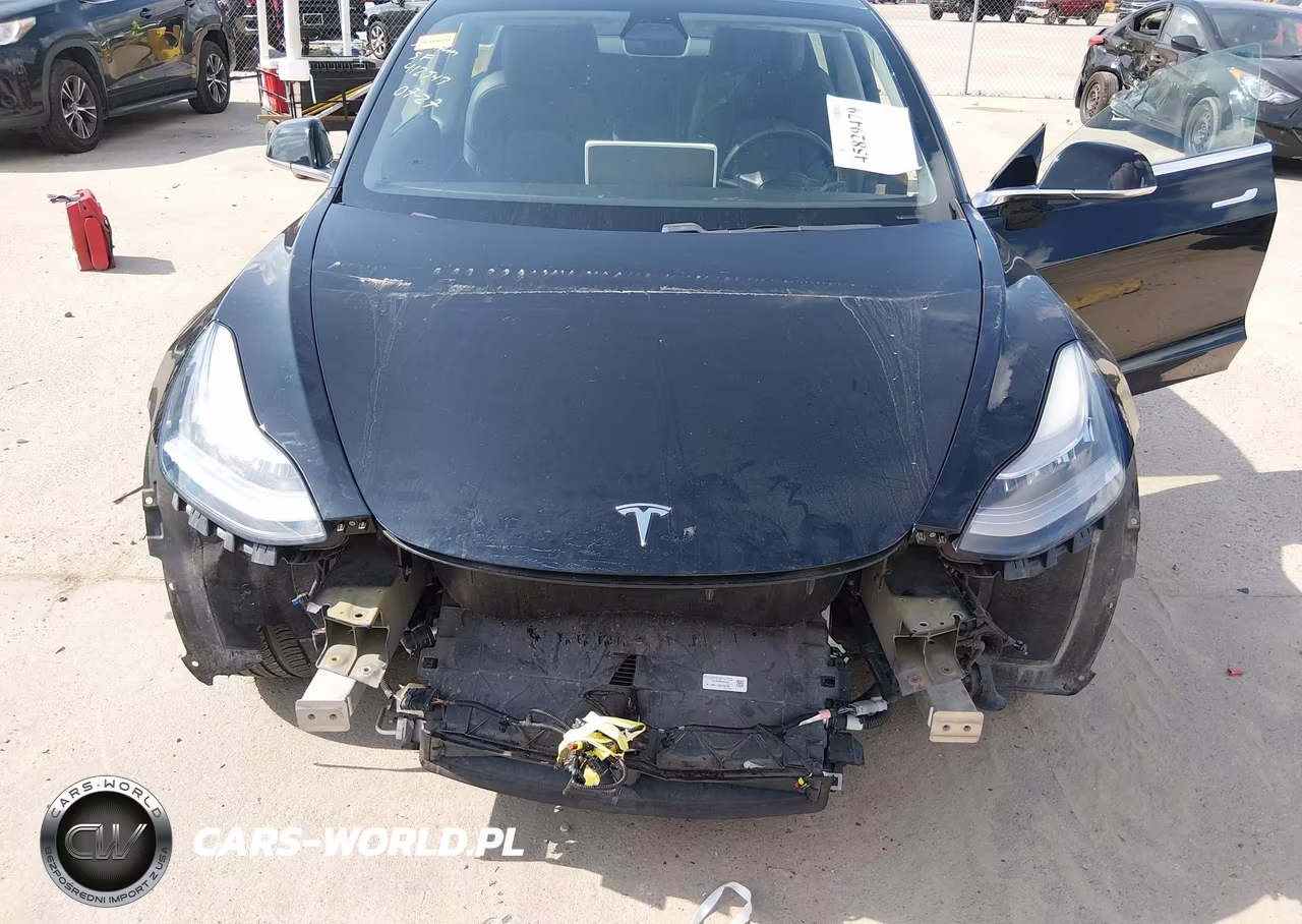 2019 Tesla Model 3 Long Range-Mid Range-Standard Range-Standard Range Plus VIN:5YJ3E1EA0KF412543 - 6