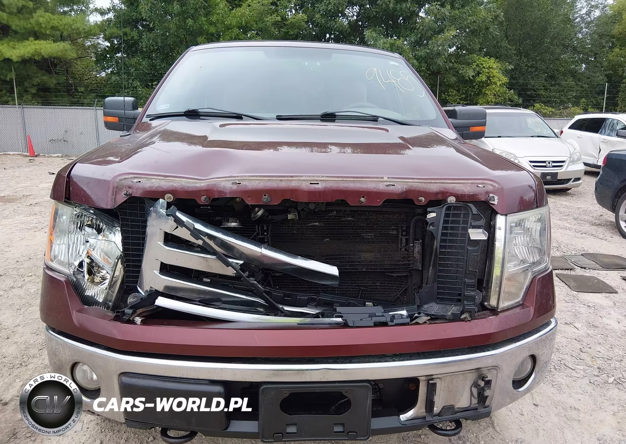 2009 Ford F-150 Fx4-King Ranch-Lariat-Platinum-Xl-Xlt VIN:1FTPW14V49KC62551 - 12