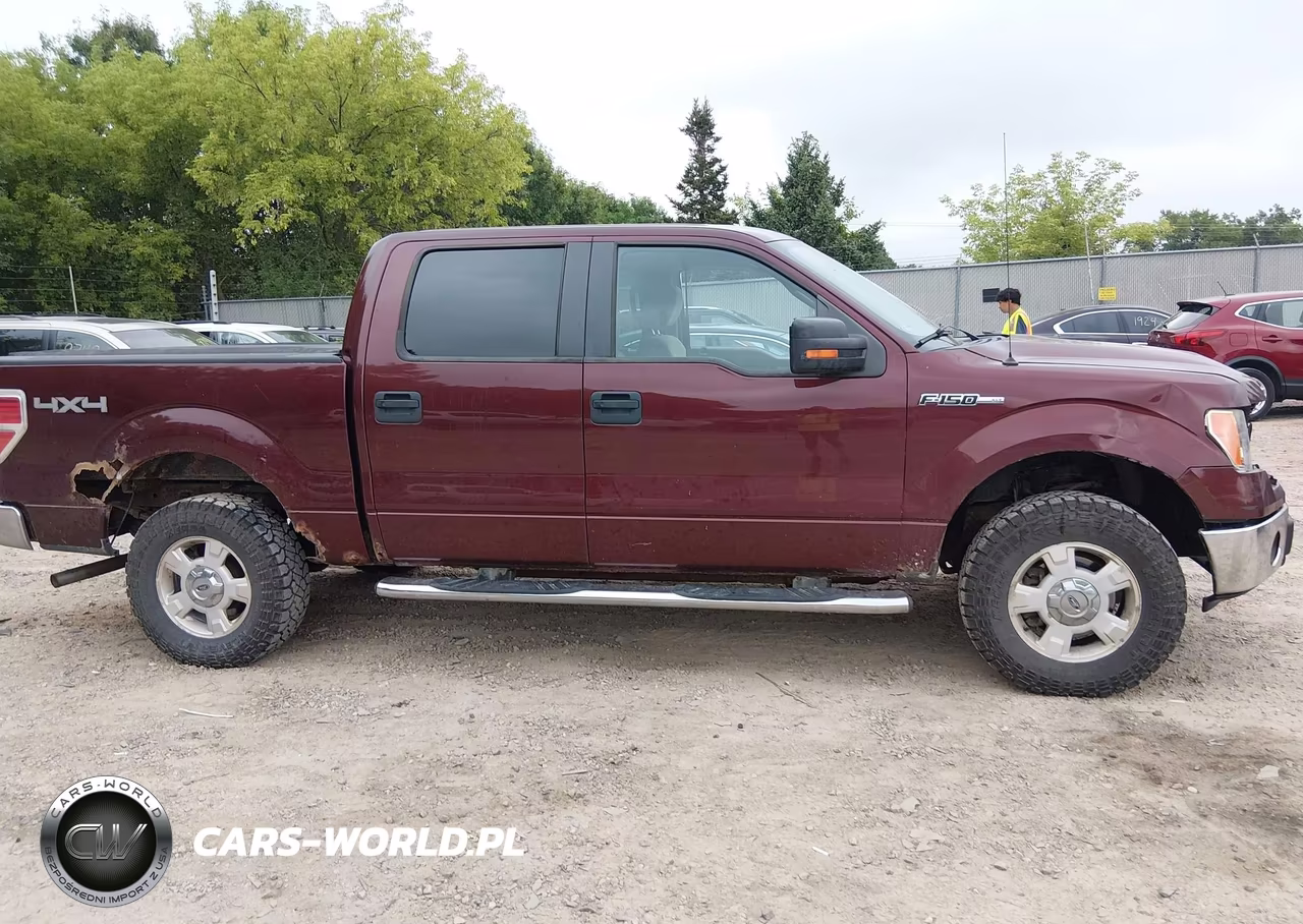2009 Ford F-150 Fx4-King Ranch-Lariat-Platinum-Xl-Xlt VIN:1FTPW14V49KC62551 - 13