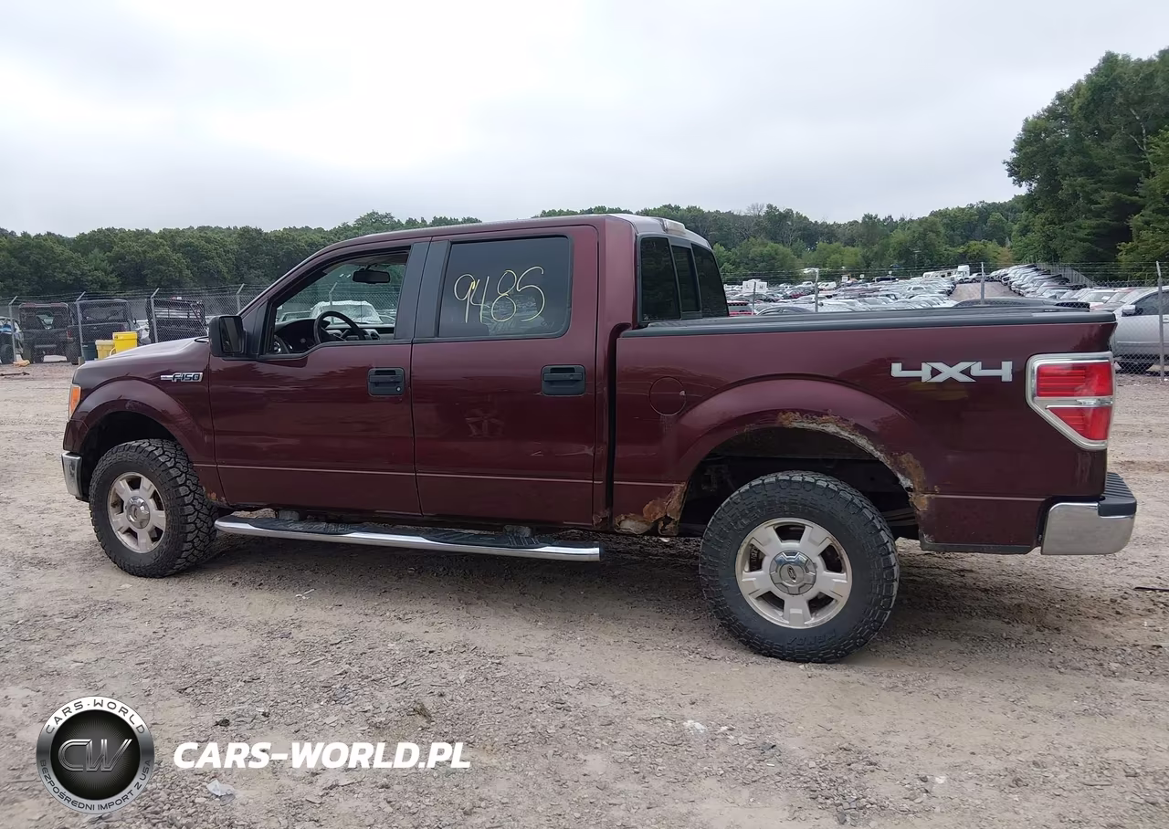 2009 Ford F-150 Fx4-King Ranch-Lariat-Platinum-Xl-Xlt VIN:1FTPW14V49KC62551 - 14