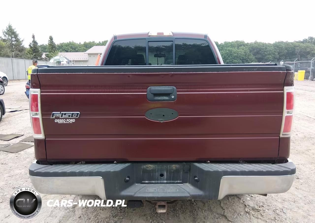 2009 Ford F-150 Fx4-King Ranch-Lariat-Platinum-Xl-Xlt VIN:1FTPW14V49KC62551 - 16