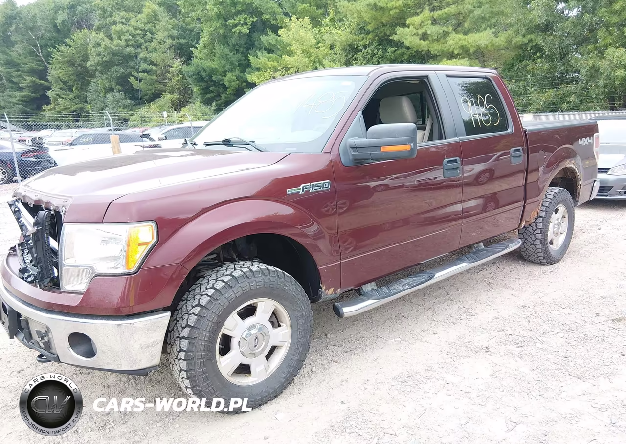 2009 Ford F-150 Fx4-King Ranch-Lariat-Platinum-Xl-Xlt VIN:1FTPW14V49KC62551 - 2