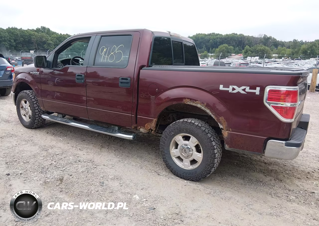 2009 Ford F-150 Fx4-King Ranch-Lariat-Platinum-Xl-Xlt VIN:1FTPW14V49KC62551 - 3