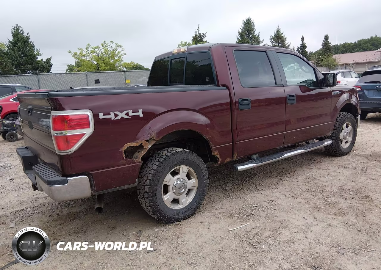 2009 Ford F-150 Fx4-King Ranch-Lariat-Platinum-Xl-Xlt VIN:1FTPW14V49KC62551 - 4